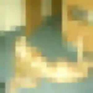 Sana, femme de 30 ans propose plan cul à Willems