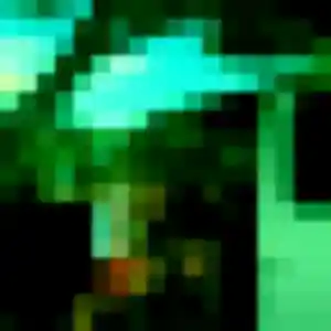 Belle Tatiana, 35 ans à Willems - voir sa photo