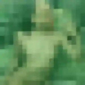 Sexy Myla, 29 ans à Witternesse - voir sa photo