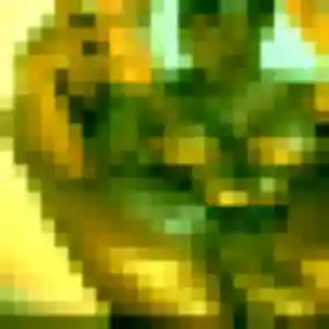 Profil de Elia à Yainville (22 ans) - plan cul discret