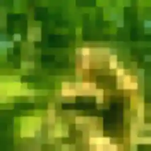 Découvre Zara, 31 ans à Yébleron en t'inscrivant