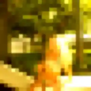 Malika (36 ans) à Ymare cherche une rencontre aujourd'hui