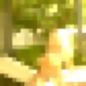 Eglantine (27 ans) à Yquelon cherche un plan cul maintenant