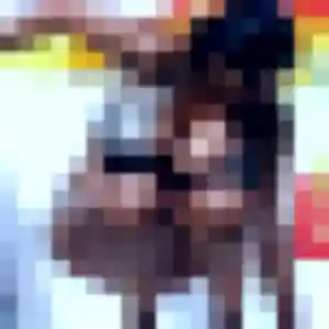 Photo privée de Felicite, 19 ans à Yronde-et-Buron - plan discret