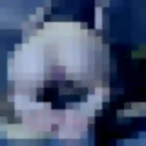 plan cul à Yvetot : profil de Meryem, 28 ans - sans engagement